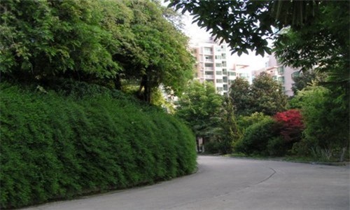 成都天府职业技术学校