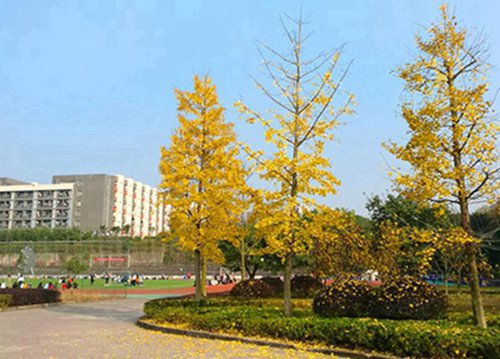 2023年粮油饲料加工技术专业成都哪个中专学校好