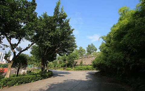 四川五月花专修学院开设有哪些专业?烹饪专业好学吗