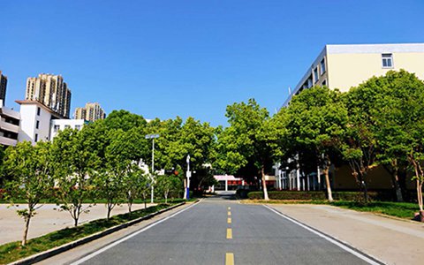 乐山欣欣艺术职业学校有哪些专业?服装设计与工艺类专业好不好