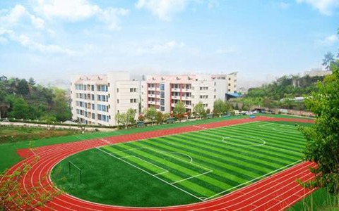 通江县民胜职业高级中学有哪些专业?信息技术专业就业方向如何