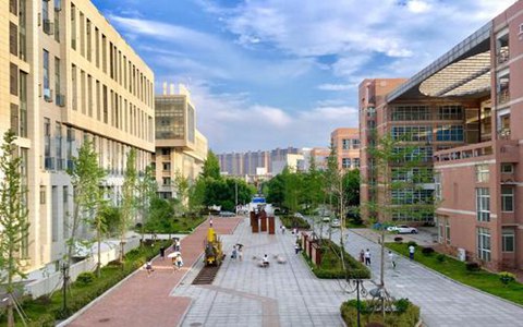 盐源县职业中学开设有哪些专业?植物保护专业好不好