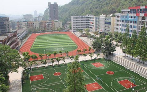 蓬安县巨龙职业中学中专什么专业好?工艺美术专业好学吗